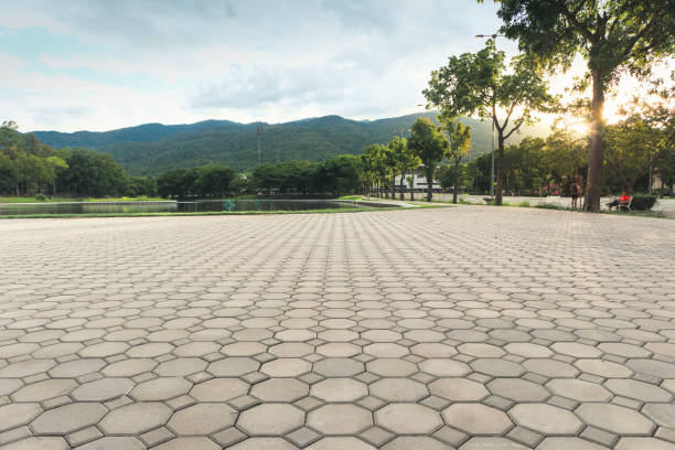 Best Driveway Pavers Near Me  in Farmville, VA